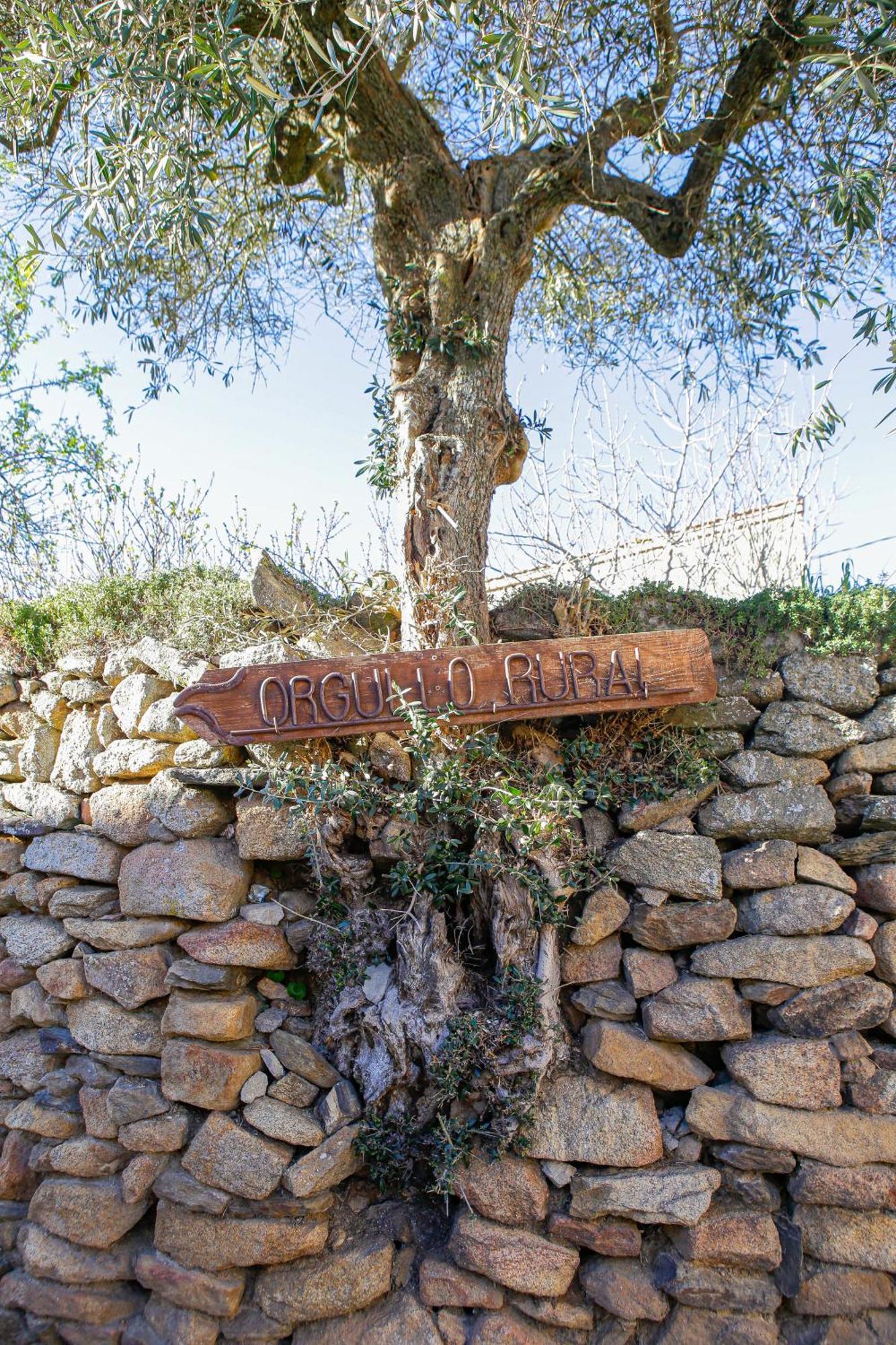 Casa Rural Therma Agreste Бермельяр Экстерьер фото